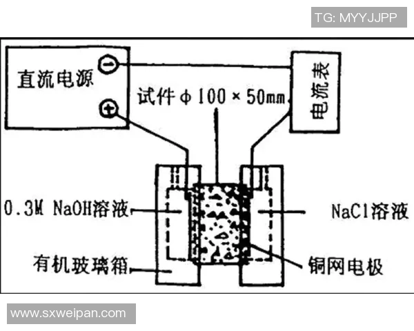 上海乒乓球队边路渗透战术分析及其对比赛结果的影响探讨 上海乒乓球队边路渗透战术分析及其对比赛结果的影响探讨