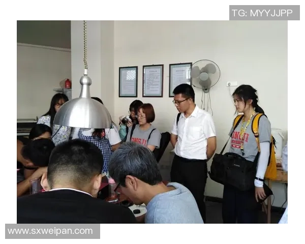 上海攀岩队成员个人能力深度对比与分析探讨 上海攀岩队成员个人能力深度对比与分析探讨